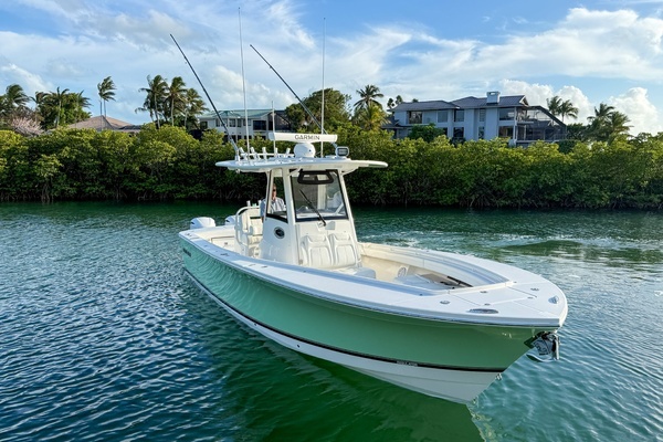 2020 Regulator 31