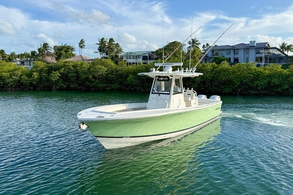2020 Regulator 31