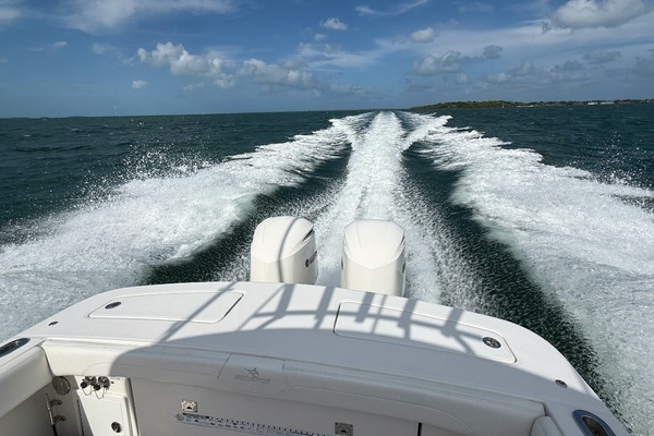 2020 Regulator 31