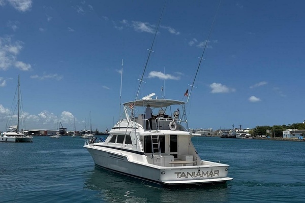 Taniamar 60ft Bertram Yacht For Sale