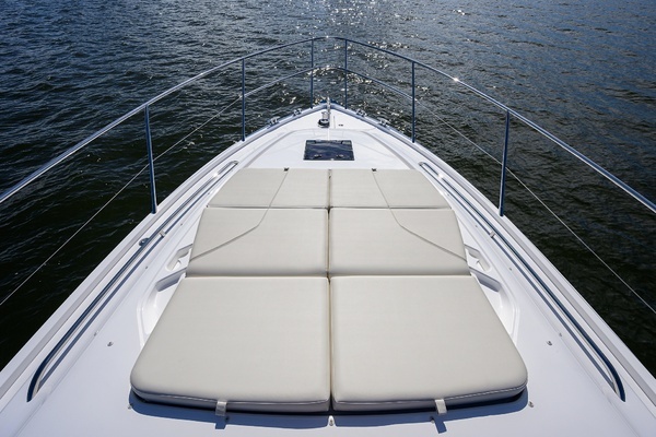 2026 Princess 50