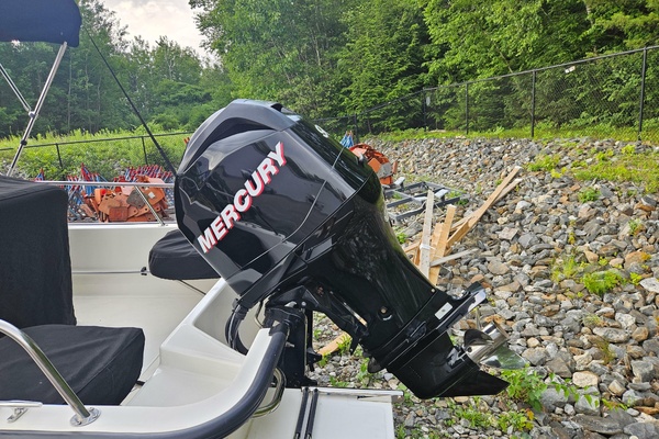 17ft Boston Whaler Yacht For Sale