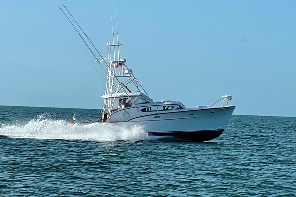 CHINO 36ft Rybovich Yacht For Sale