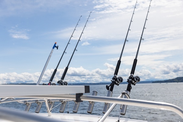 Solara 310 CW Yacht For Sale