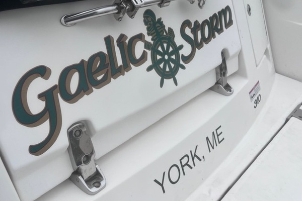 GAELIC STORM 31ft Sea Ray Yacht For Sale