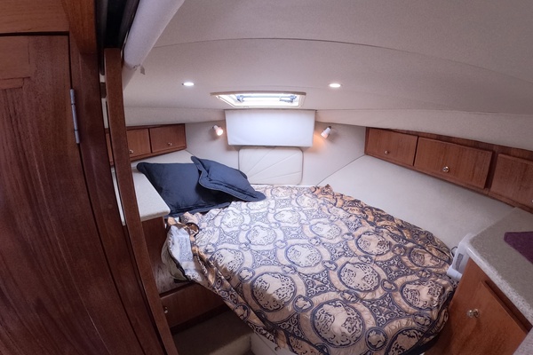 BRITER HORIZON 40ft Carver Yacht For Sale