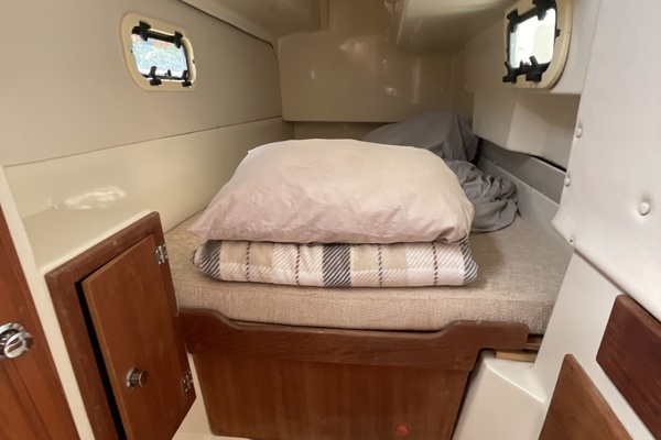 Luffin Life 34ft Gemini Yacht For Sale
