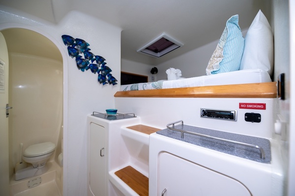 Turquoise Turtle        50ft Voyage Yachts Yacht For Sale