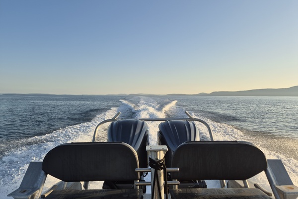 Cygnet 25ft SAFE Boats Yacht For Sale