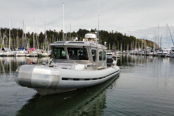 Cygnet 25ft SAFE Boats Yacht For Sale