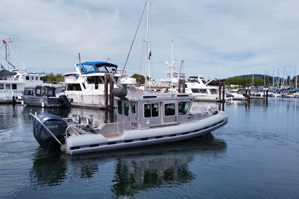 Cygnet 25ft SAFE Boats Yacht For Sale
