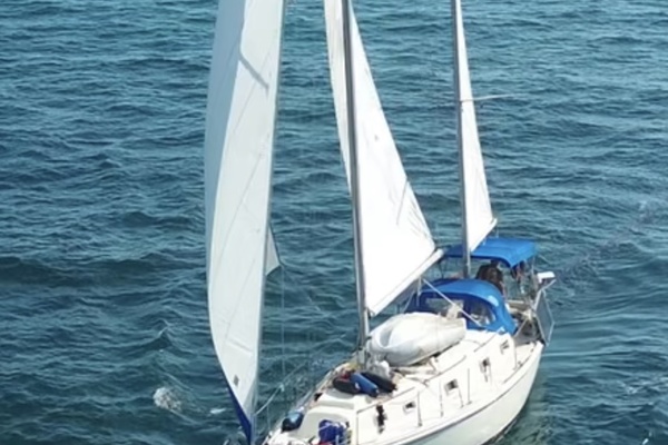 Clover 40ft Morgan Yacht For Sale