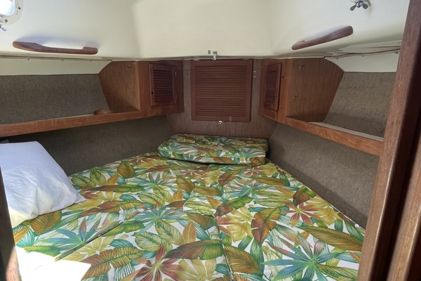 Clover 40ft Morgan Yacht For Sale