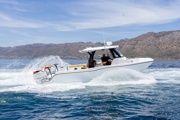29ft MVI Yacht For Sale