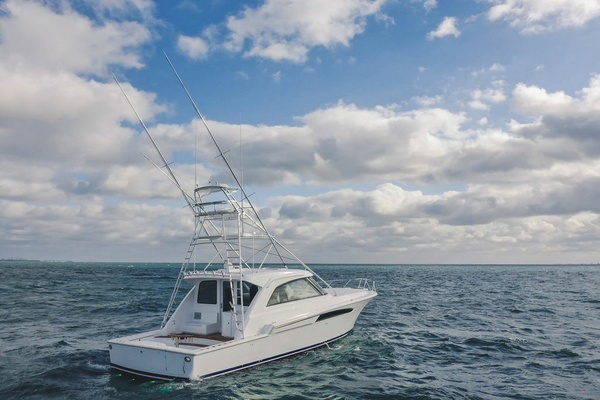 50ft Bertram Yacht For Sale
