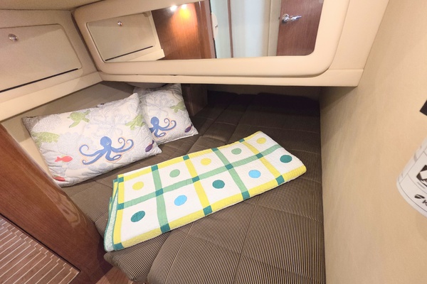 Excitable Buoy 48ft Sea Ray Yacht For Sale