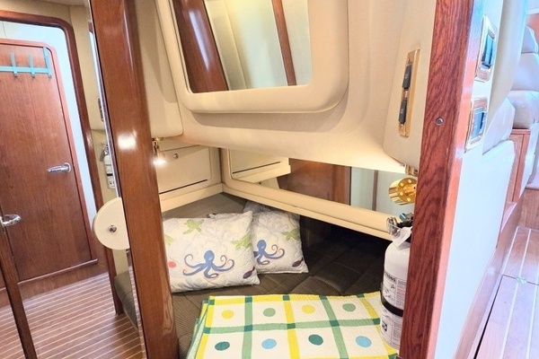 Excitable Buoy 50ft Sea Ray Yacht For Sale