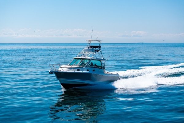 2019 Boston Whaler 35