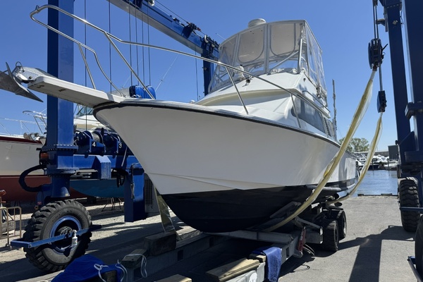 LEXI BRI 30ft Black Watch Yacht For Sale