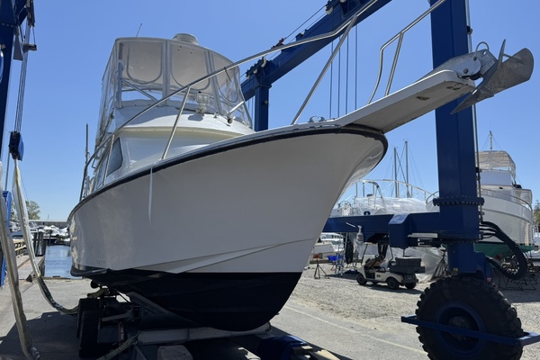 LEXI BRI 30ft Black Watch Yacht For Sale
