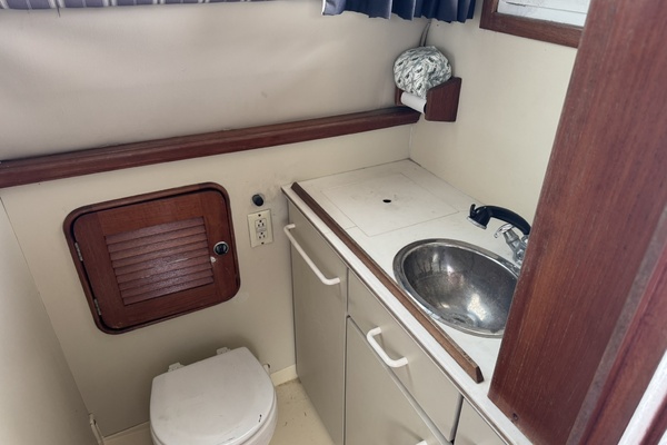 LEXI BRI 30ft Black Watch Yacht For Sale