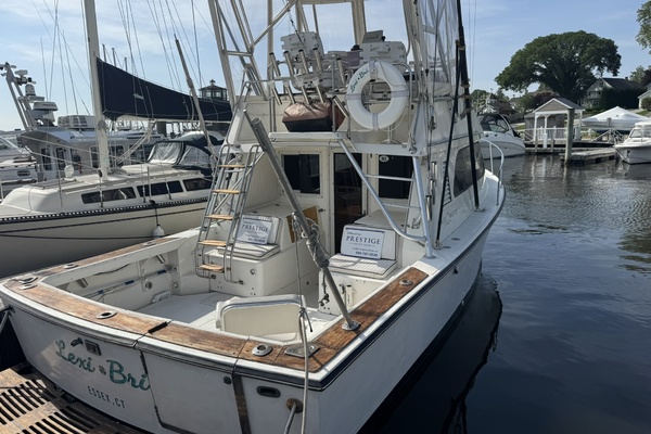 LEXI BRI 30ft Black Watch Yacht For Sale