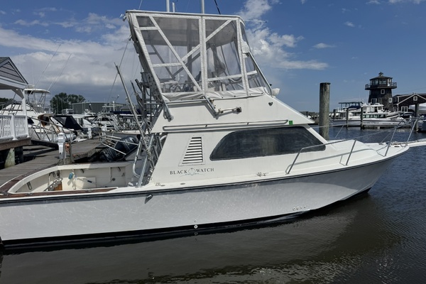LEXI BRI 30ft Black Watch Yacht For Sale