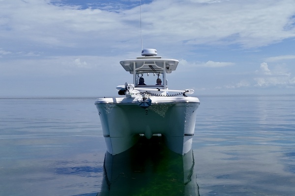 29ft World Cat Yacht For Sale