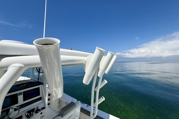 29ft World Cat Yacht For Sale