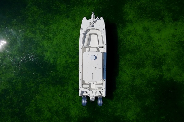 29ft World Cat Yacht For Sale