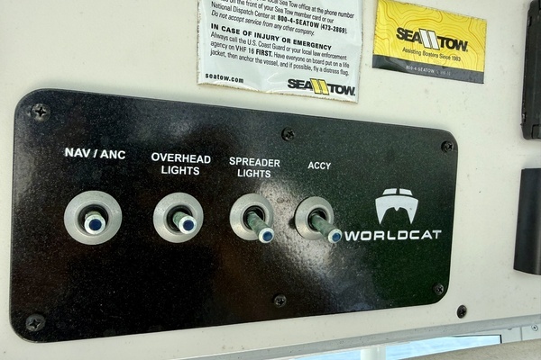 2021 World Cat 29