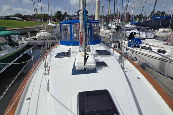 Damn Skippy 42ft Endeavour Yacht For Sale