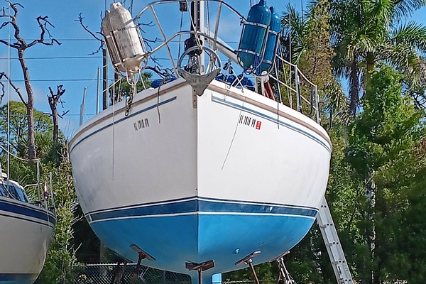 36ft Catalina Yacht For Sale