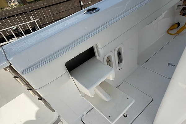 Pull-out step