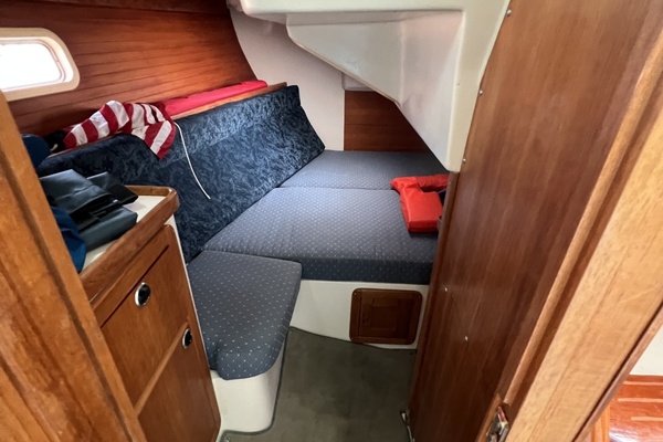 Ibis 34ft Catalina Yacht For Sale
