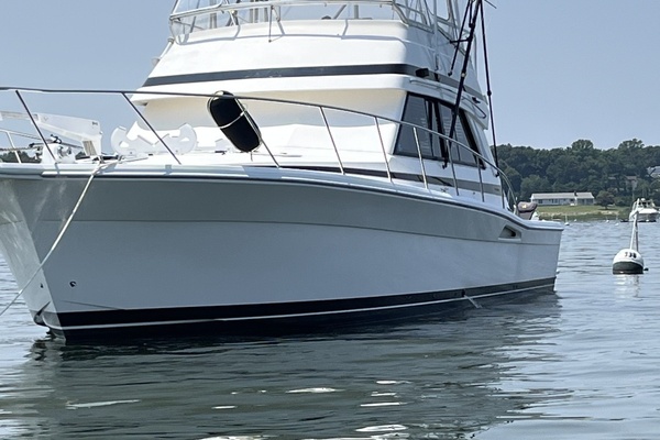 43ft Riviera Yacht For Sale