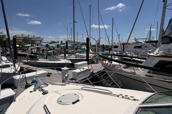 Nefertite 41ft Maxum Yacht For Sale