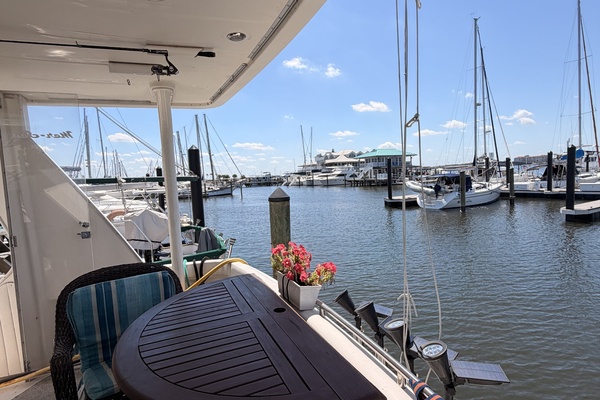 Nefertite 41ft Maxum Yacht For Sale