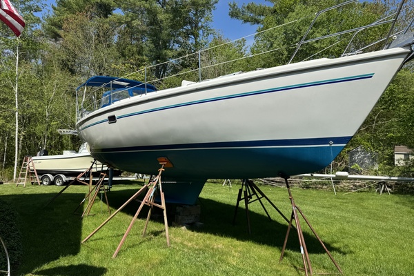 Catharsis 36ft Catalina Yacht For Sale