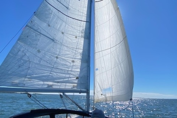 Catharsis 36ft Catalina Yacht For Sale
