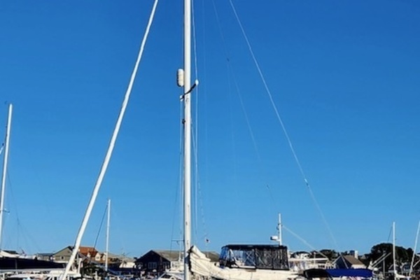 Catharsis 36ft Catalina Yacht For Sale