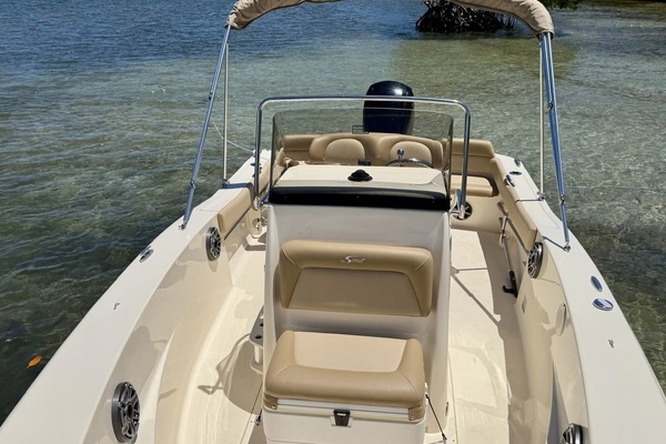 2019 Scout 19