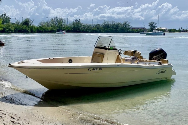 2019 Scout 19
