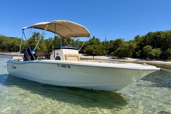 2019 Scout 19