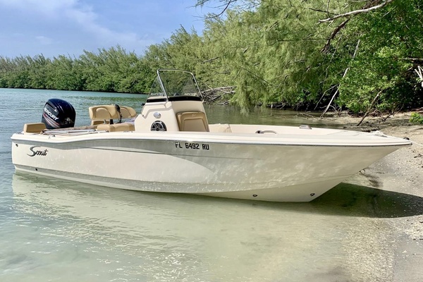 2019 Scout 195 Sportfish