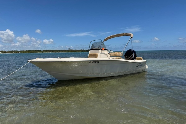 2019 Scout 19