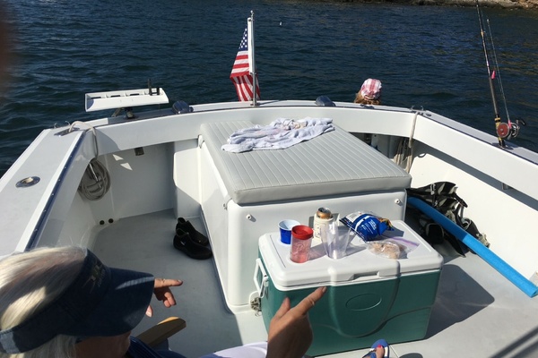 Lady Go Diver 26ft Tillotson Pearson Yacht For Sale