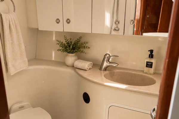 39ft Sea Ray Yacht For Sale
