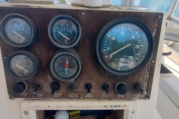 0005711981