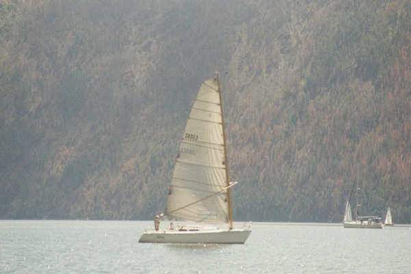 Silkye 30ft Wyliecat Yacht For Sale